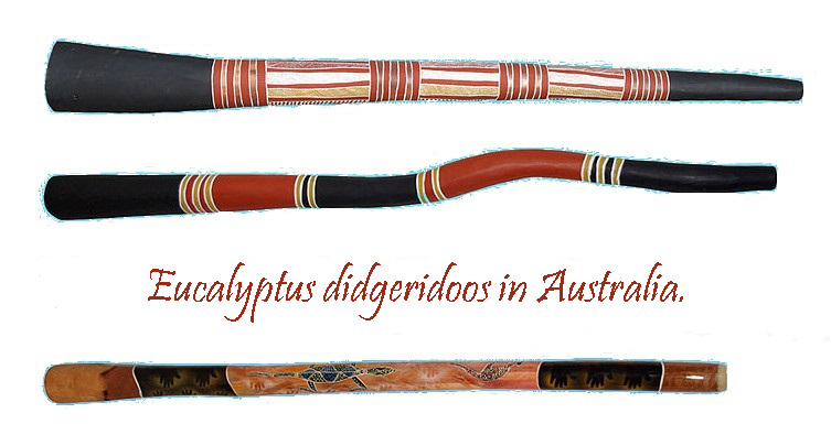 File source: http://commons.wikimedia.org/wiki/File:Australiandidgeridoos.jpg